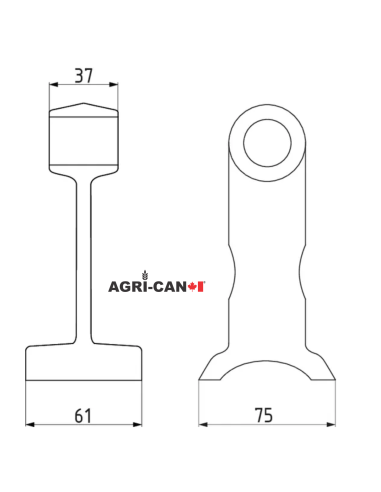 Twose, Orsi, Bomford