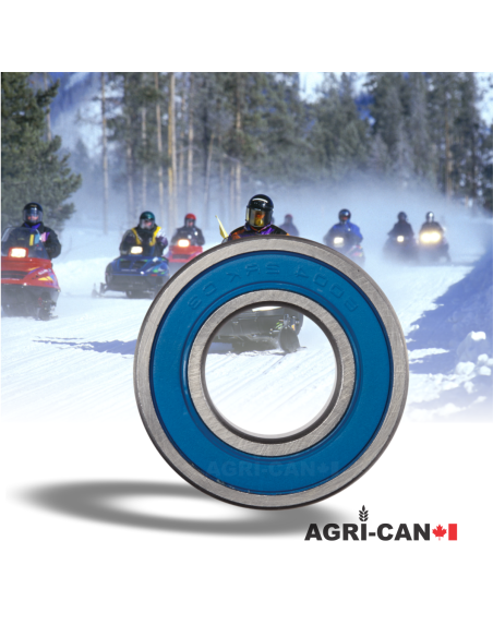 6006-2RK-C3 - Low Temperature / Snowmobile